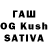 Codein Purple Drank Shiba Albina
