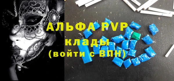 стаф Богородицк