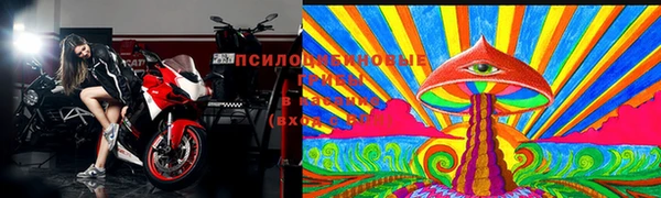 стаф Богородицк