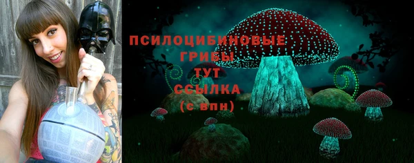 стаф Богородицк